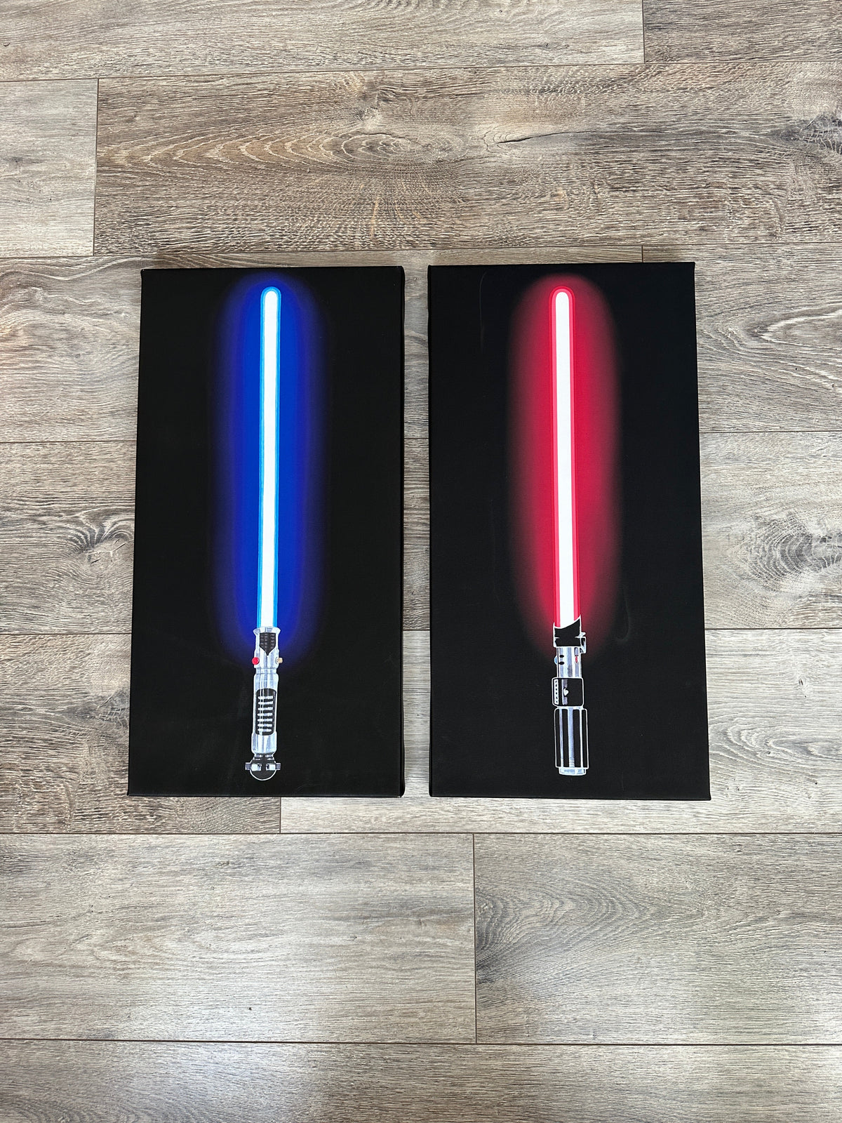 Saber Canvas Art