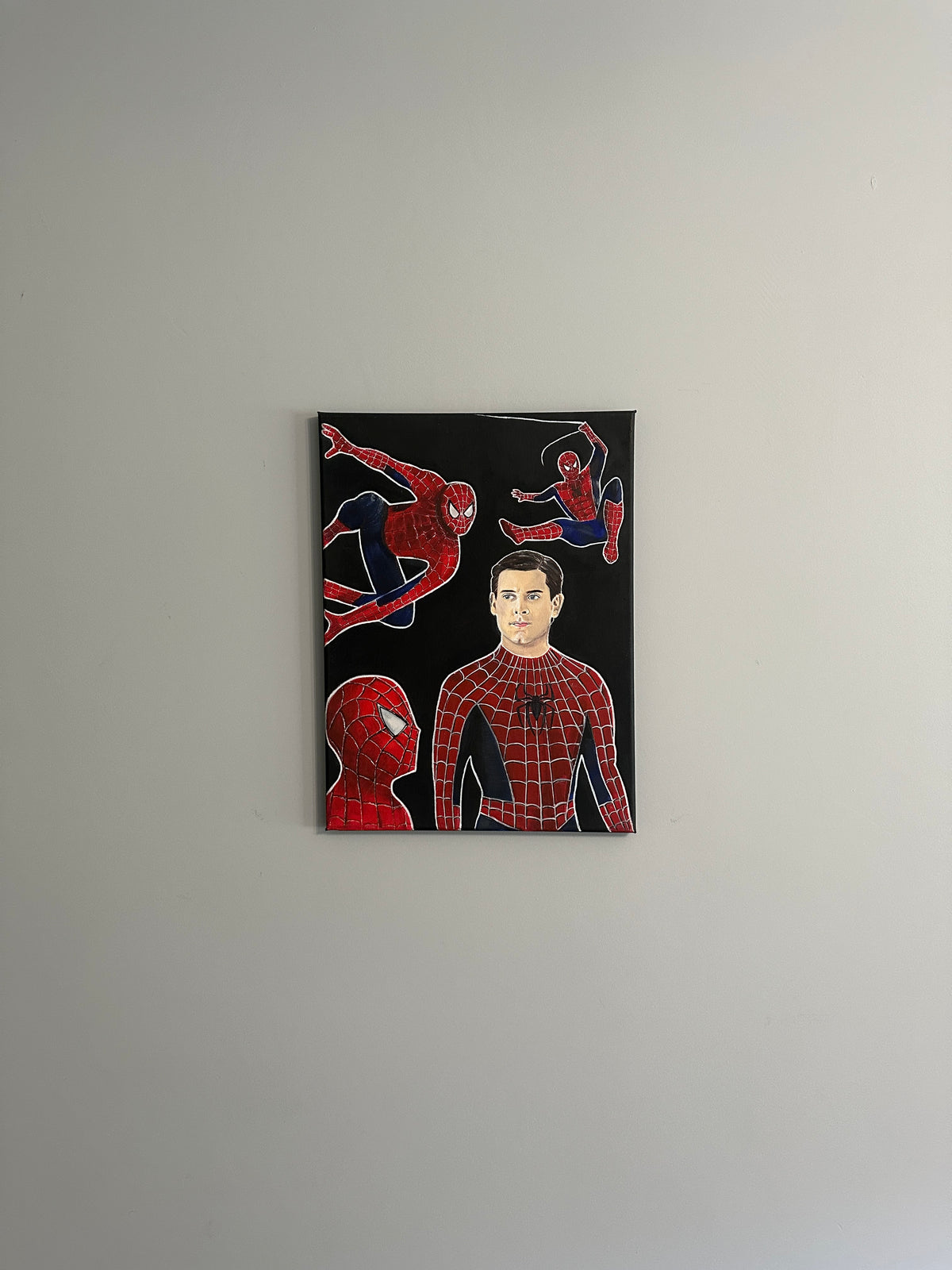 TM Spider-man Original Painting
