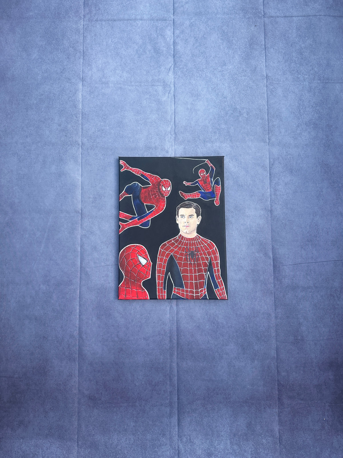 TM Spider-man Original Painting