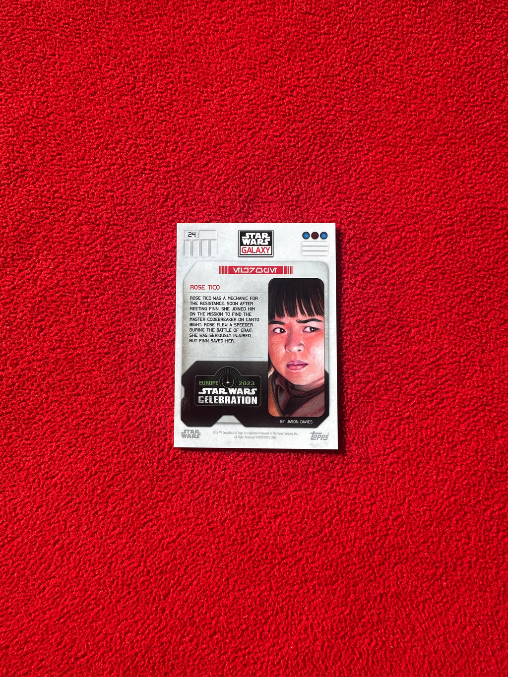 Rose 57/99