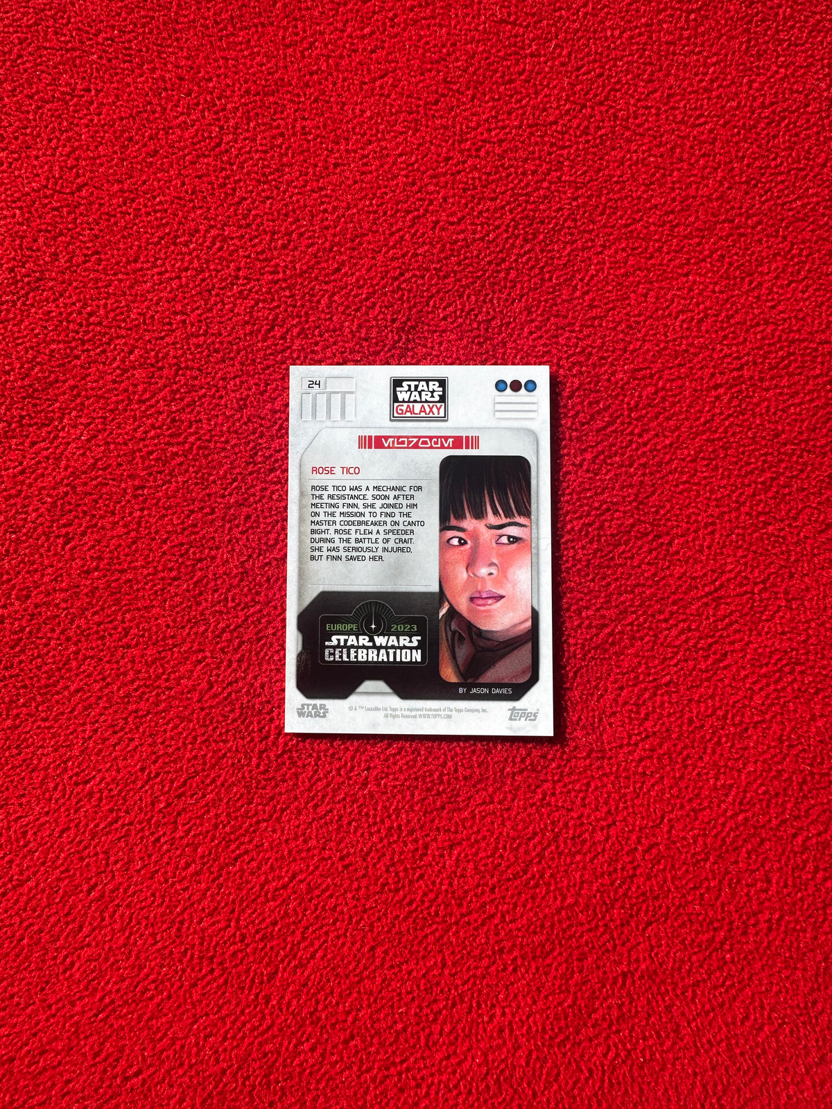 Rose 57/99