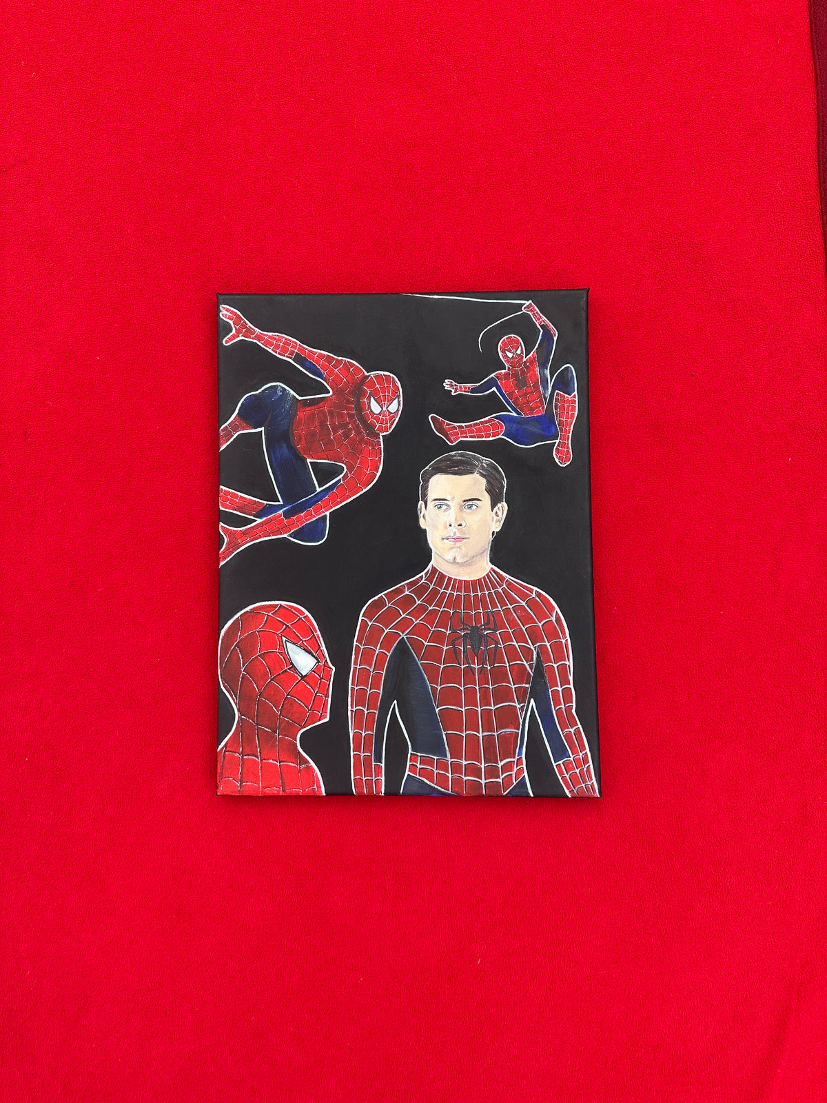 TM Spider-man Original Painting