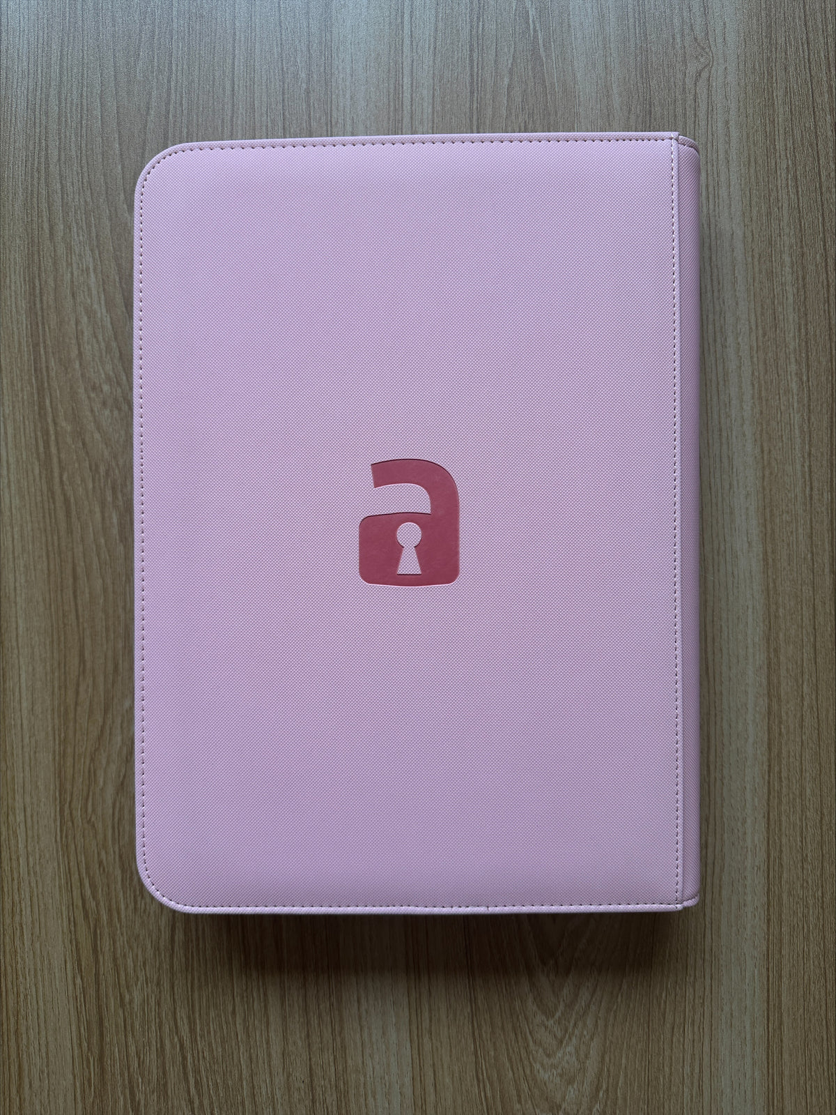 Pink Vault X Hand Painted 9 Pocket Binder